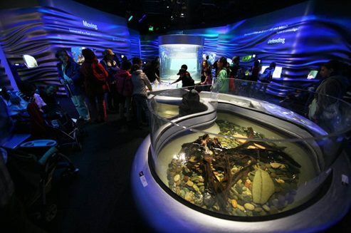 日本名古屋国际水族馆用品展览会InternationalAquariumCongress（IAC）